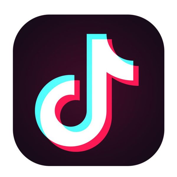 The Rise of TikTok: Exploring the Factors Behind the App's Success and Controversies